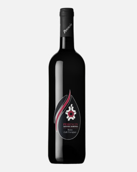 rosso-colli-trevigiani