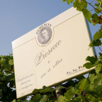 Perencin Vini Susegana Treviso Prosecco