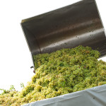 Perencin Vini Susegana Treviso Prosecco